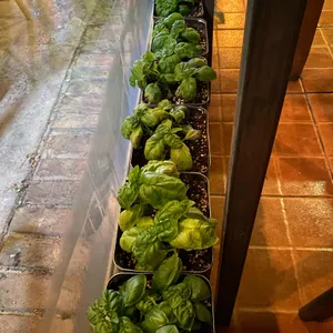 라비아화덕피자 리뷰 사진