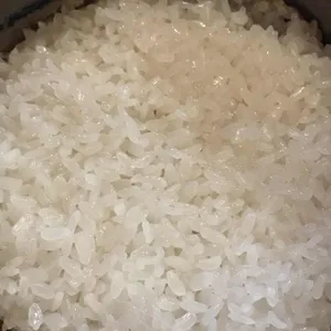 순하네돌솥밥집 사진