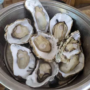 지세포굴구이 리뷰 사진