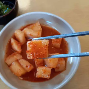 돌밭 메밀꽃 사진