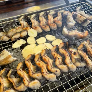 대한민국장어 사진