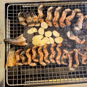 대한민국장어 사진