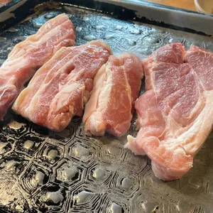 향나무세그루 사진