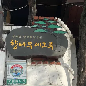 향나무세그루 리뷰 사진