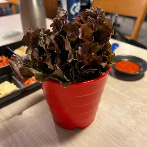 온통족발 사진
