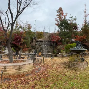 커피샤워 리뷰 사진