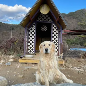 폴몬트 리뷰 사진