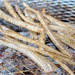 풍천장어참숯불구이 사진