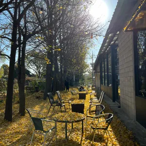 옐로커피 리뷰 사진