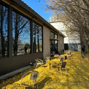 옐로커피 리뷰 사진