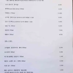 테라조 리뷰 사진