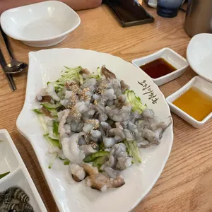 오징어청춘 사진
