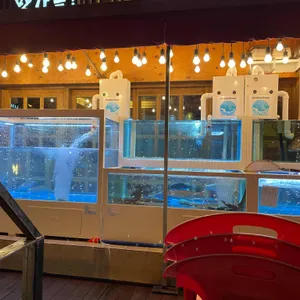 오징어청춘 리뷰 사진