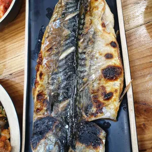 참솔 사진