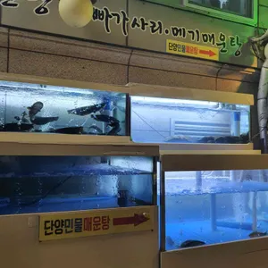 단양민물매운탕쏘가리 리뷰 사진