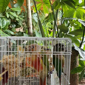 정그리다 리뷰 사진