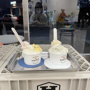 헤이드 사진