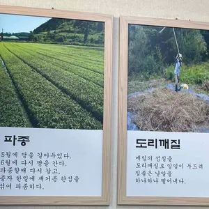 봉평메밀마당 리뷰 사진