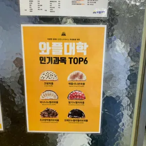 와플대학 리뷰 사진