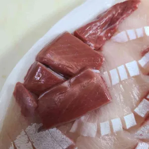 광어2마리 사진