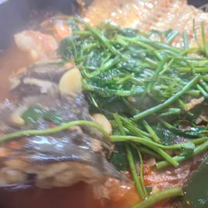 광어2마리 사진