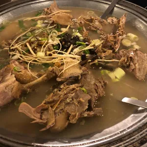 황금오리 사진