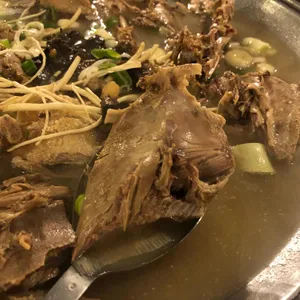 황금오리 사진