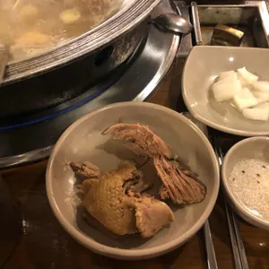 황금오리 사진