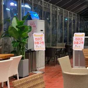 월페이퍼 리뷰 사진