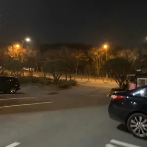 월페이퍼 리뷰 사진