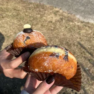 제주호랭이 사진