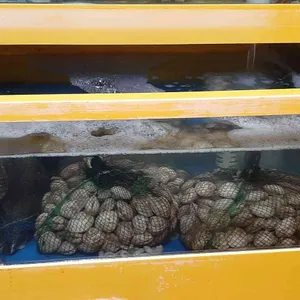 칠곡해물손칼국수 리뷰 사진