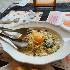 닥터로빈 사진