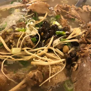 황금오리 사진