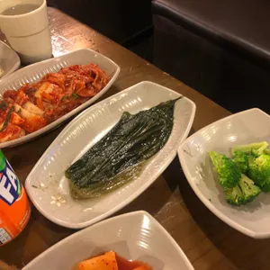 황금오리 사진