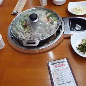 개미집 사진
