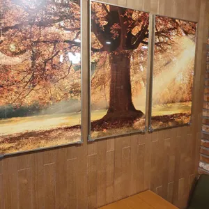 메가커피 리뷰 사진