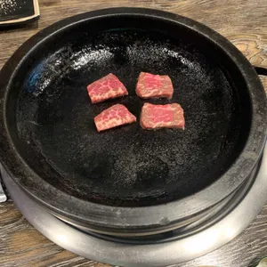 소야 사진