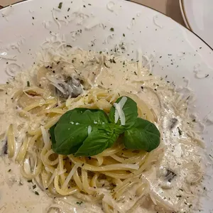 칠사칠 사진
