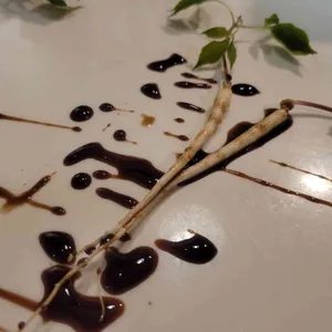 장금이 리뷰 사진