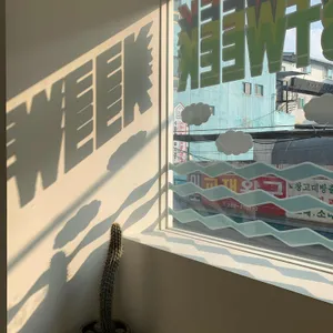 라스트위크 리뷰 사진