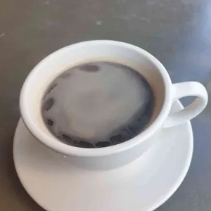 모먼트 모던 이터리 사진