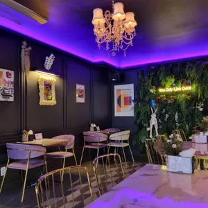 더티래빗 리뷰 사진