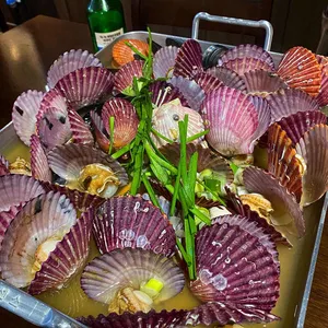 사촌 사진