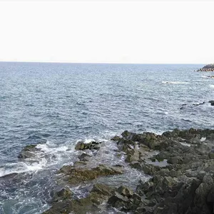 카페봄 리뷰 사진