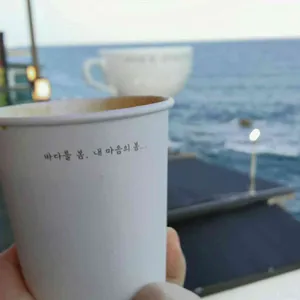 카페봄 사진