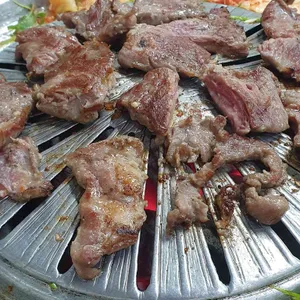 마포 갈매기 사진