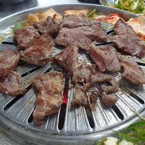 마포 갈매기 사진