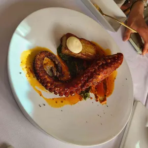 레에스티우 리뷰 사진