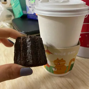 커피폴 사진